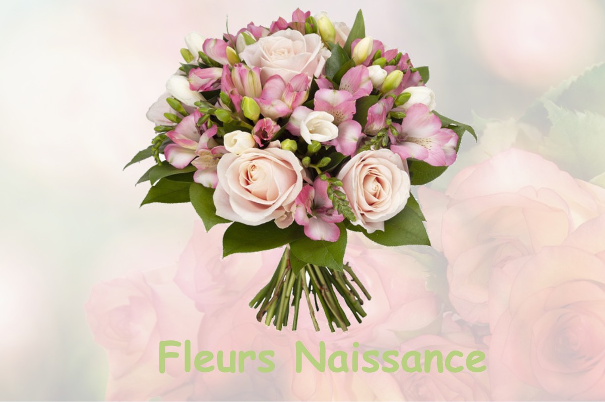 fleurs naissance RUMIGNY