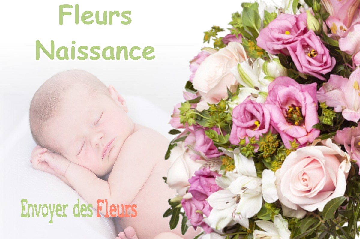 lIVRAISON FLEURS NAISSANCE à RUMIGNY